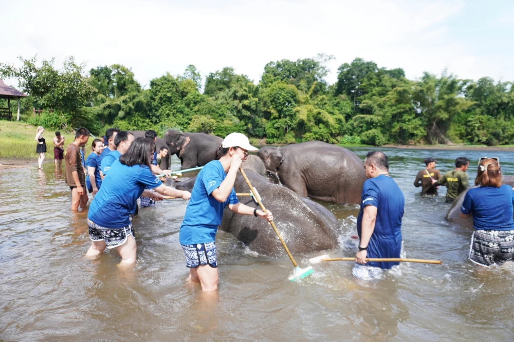 SGC ร่วมสร้างสรรค์สังคม สนับสนุนการอนุรักษ์ช้างไทย